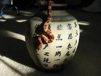 clinton hanging.webp