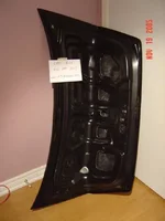 trunk3.webp