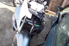 100_0298.webp