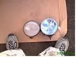 new fogs.webp