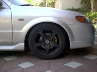 IMAG0007.webp