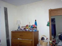 19wp.webp