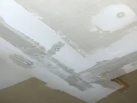 Garage Ceiling 2.webp