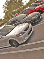 westpalm2.webp
