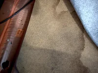 sparecover.webp