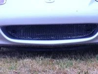 frontg.webp