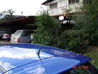 rear roof.webp
