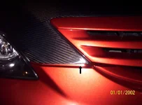 100_0431.webp