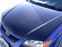 DSCN1237.webp
