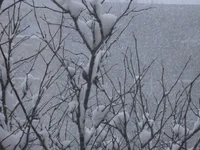 DSCN1248.webp