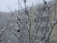 DSCN1250.webp