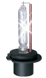 H7 HID xenon lamp.webp