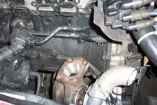 normal_100_0602.webp