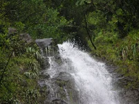 Falls.webp