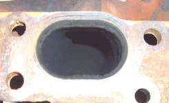 IMGP1699.webp