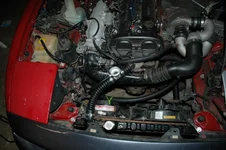 DSC_0126.webp