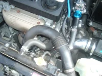 Picture 005.webp