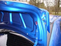 Trunk 002.webp