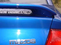 Trunk1 002.webp