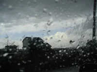 IMG_1707 (Large).webp