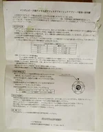 rearstrutinst.webp