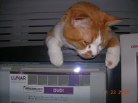 DSCN0781.webp