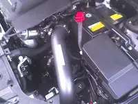 12621456_l.webp