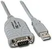 db9.webp