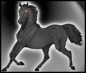 JPG Black Morgan.webp