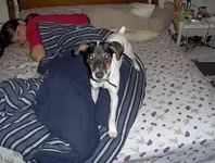 turboonbed.webp