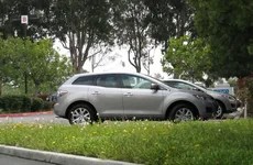 Two CX-7.webp