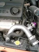 Bov2.webp