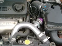 Bov3.webp