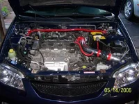 100_0454.webp