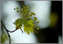 DSC_0020.webp