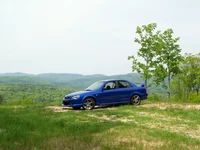 100_0212.webp
