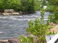 100_0217.webp