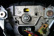 Steer-04.webp