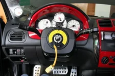 Steer-08.webp