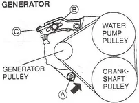 Protey Belt.webp