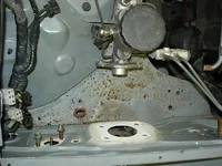DSCN3592.webp