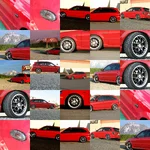 collage2.webp