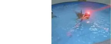 untitled.webp
