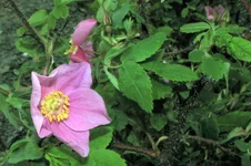 IMG_0082.webp
