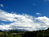 IMG_0096-1.webp