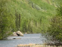IMG_0148-4.webp