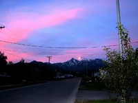 IMG_0006-1.webp