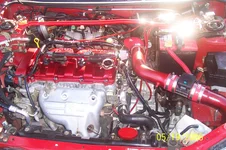 mikes pics 019.webp