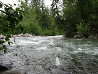 IMG_0001a.webp