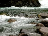 IMG_0011.webp